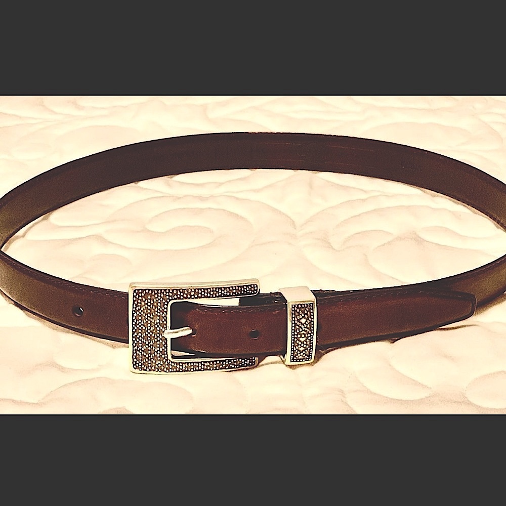 Fossil Belt